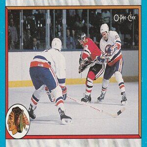 Chicago Blackhawks Final Standings 1988-1989